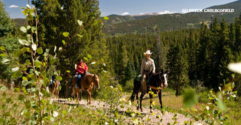 Biking, Hiking Trails or Horseback
